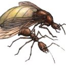 미르마 네이버블로그