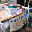 쉼표고성 | 강원도 고성 하루 여행 일정 코스(송지호, 건봉사, 이승만 김일성 별장, 화진포, 교암막국수, 온더버튼)