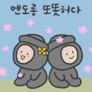 팜스펜션 네이버블로그