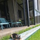 스테이숨 이미지