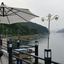 거제비타민씨 이미지