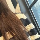 홍익헤어 | 합정 미용실 홍대 미용실 추천 합정 메세나폴리스 준오헤어 시현 디자이너 단백질 클리닉 후기