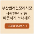 부산반려견장례식장, 사랑했던 만큼 따뜻하게 보내는 방법은?