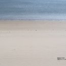 신진도pc 이미지