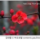 [매일복음(다해) 16-01-27] - “어떤 것들은 좋은 땅에 떨어져, 싹이 나고 자라 서른 배, 어떤 것은 예순 배, 어떤 것은 백 배의 열매를 맺었다."(마르 4,1-20) 이미지