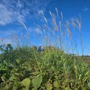 용수리 마을회관 이미지