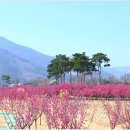 섬진강 이미지