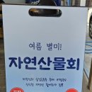 조피나메밀묵