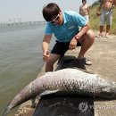 우리지구