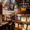 카페그림 | [서울 마포구/상수역] 독서모임하기 좋은 상수역 아늑한 책방 카페 :: 그림서재 후기