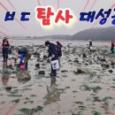 물높이 220조과 풍성하고 남녀노소 함께 해루질 할수있는 최고장소 이미지