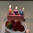 종로-신영-종로-영-162 | 2026. 02. 🎂