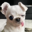 이마트24편의점 이미지
