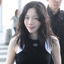 헤이비즈