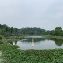 서서울호수공원과 서울식물원 알아보기 이미지