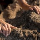 치유숲정신건강의학과의원 이미지