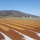 좋은 태양광발전소 이미지