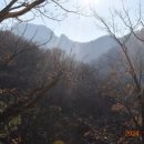 약초농원민박 이미지