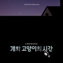 개와고양이 - 사상구 새벽시장로56번가길 4 | 개와고양이