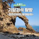 서해민박 | 서해섬 승봉도 기암괴석 코끼리 바위 부채바위 가는방법 탐방 후기