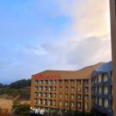 평창라마다호텔 | ☆평창☆ 라마다 호텔 내돈내산 후기/ 발왕산 케이블카, 스카이워크/천년주목 숲길