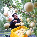 시목농장 이미지