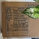 문래역 6~7번 출입구 사이 | 문래동에도 두쫀쿠 열풍이! 두바이 붕어빵 '문래오름' 재방문후기