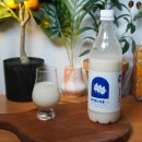 농업회사법인 피엘케이(주) | 살맛나네 8.0 막걸리 추천 무감미료 프리미엄 전통주 리뷰