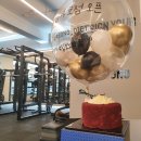 팀보노짐 이미지