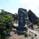 [백두민주]도대단맥종주(완)-각호산, 배걸이봉(영동)-4번째 찾은 각호산과 험준한 바윗길에 마음 졸이는 산줄기 이미지