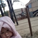수밍이네 이미지