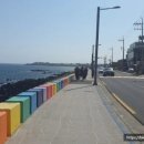 [제주 여행] 제주 몸국 맛집 김희선제주몸국 방문후기(feat. 내돈내산)