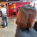 준미가헤어 | 울산대학교 준미가 헤어 다크애쉬염색