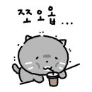포동푸딩 용산점 이미지