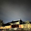 앞뜰농장 | 창경궁 궁궐투어 황인혁교수님 창경궁 야간 인문학산책