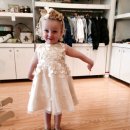 골드 캣 이미지