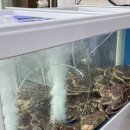 대게마트 | 광안리 대게 맛집 기장대게 할인마트 세트 메뉴 (식사 후기 예약 주차)