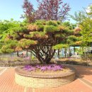 반송초등 이미지