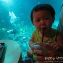 마린PC카페 이미지