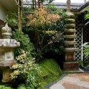 거제식물원 이미지