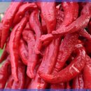 현대생활건강 이미지