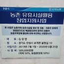 보개바람 이미지