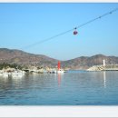 호산카 Daum카페