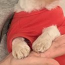 다복향마라탕 이미지