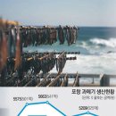 포항과메기 이미지