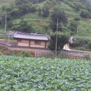 황토방펜션 이미지