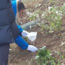 리멤버파크 이미지