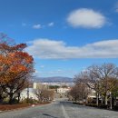 창고구공 | 하코다테 모토마치 필수 코스 총정리｜아카렌카창고·하치만자카·구공회당·로프웨이야경 완벽 정리
