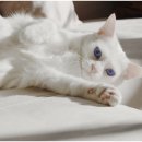 헤이든동물병원 이미지