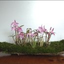 신안국민체육센터 이미지